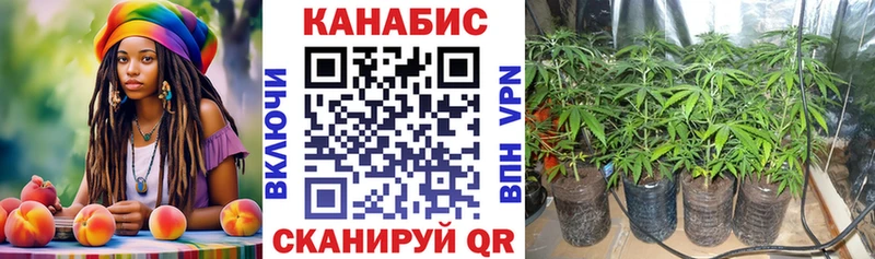 Как найти закладки Нестеров Кокаин  НБОМе  Бошки Шишки  Меф мяу мяу  АМФ 