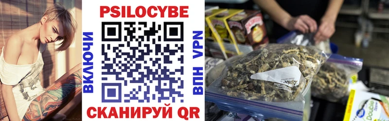 Псилоцибиновые грибы GOLDEN TEACHER  Нестеров 